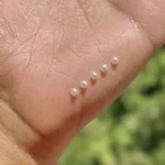 نگین صورت مدل مروارید بسته 100 عددی - تصویر 3