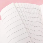 دفترچه یادداشت 15 برگ مدل پاسپورتی طرح تدی کد 01 بسته 2 عددی - تصویر 2